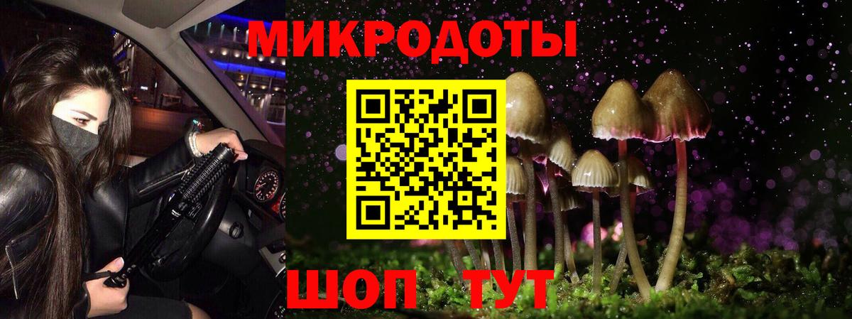 Сердобск  Псилоцибиновые грибы MAGIC MUSHROOMS  Псилоцибиновые грибы Magic Shrooms  Вход с VPN 
